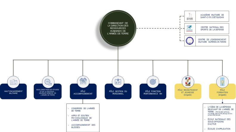 Organigramme simplifié de la DRHAT