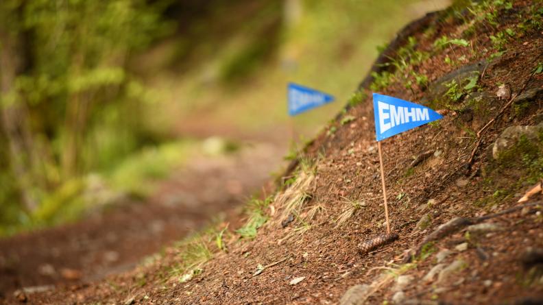 Fanions du parcours alpin