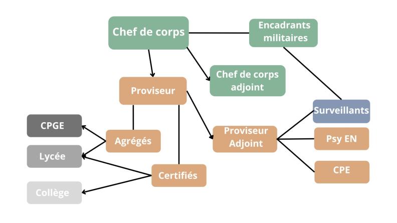 L'organisation au sein des lycées