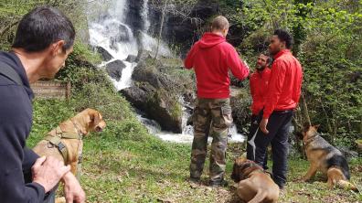 Pause avec les chiens