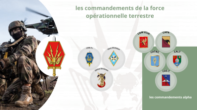 les commandements de la force et des opérations terrestres