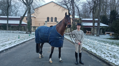 Casanova, cheval de l'École militaire d'équitation