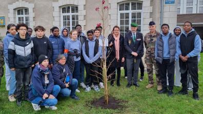 Les élèves de la classe de Défense de la DRHAT ont planté un "arbre de la Libération"  